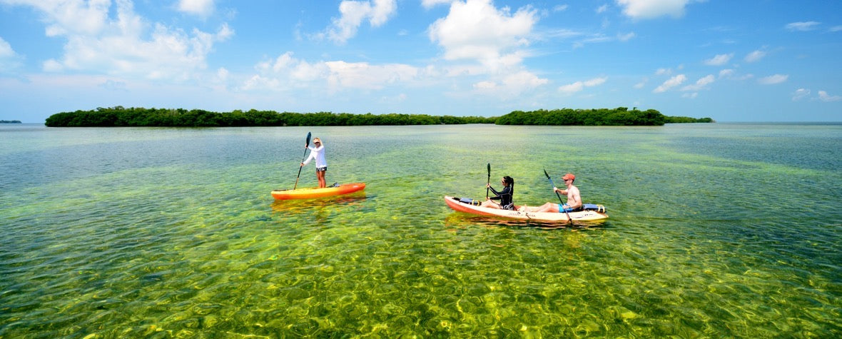 eco tours in key west