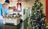 A professionally decorated Christmas Tree and other holiday decor showcase the benefits of decorating a business for the holidays. 