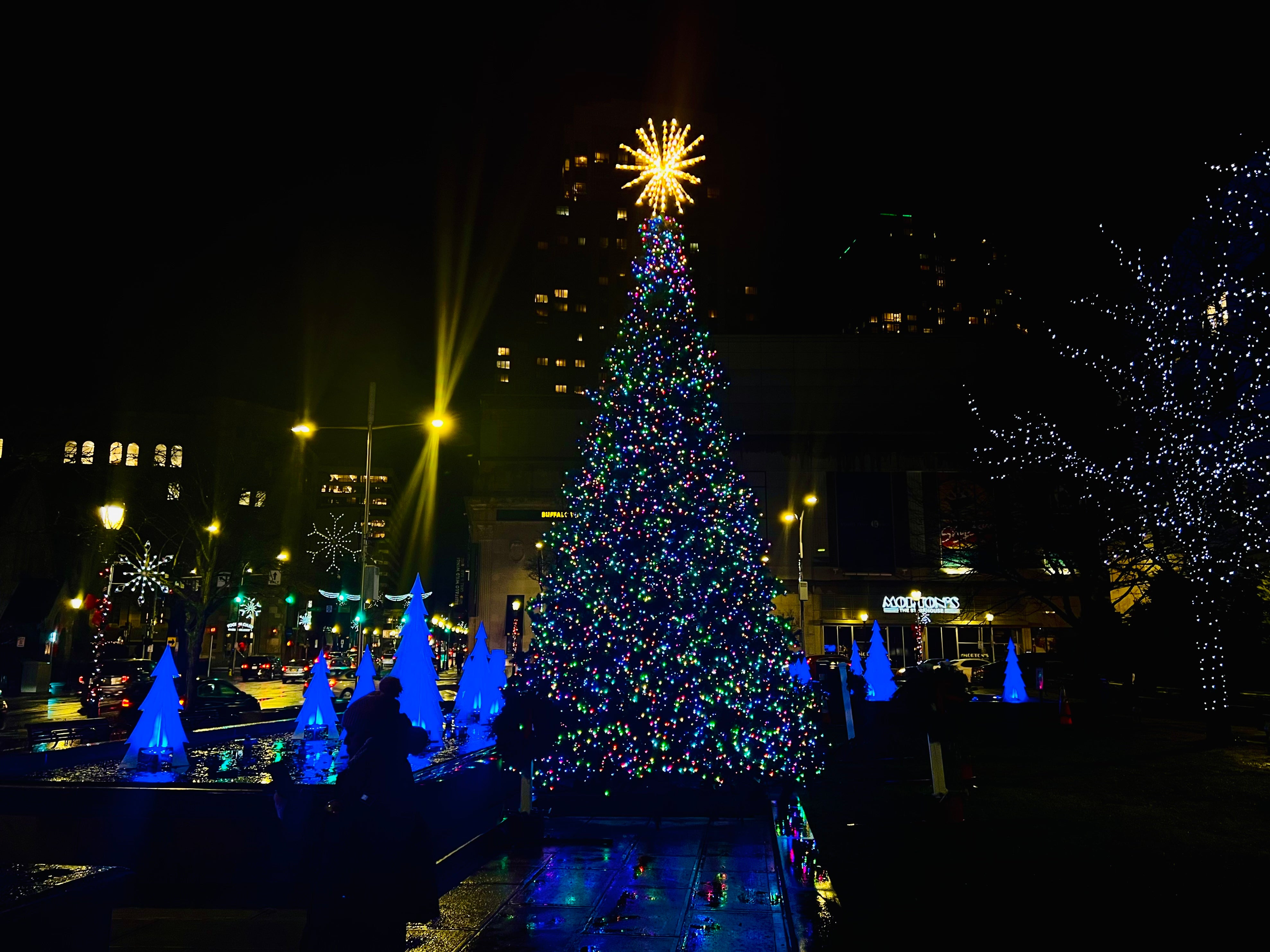 https://cdn.shopify.com/s/files/1/1016/2961/articles/commercial-municipalities-city_of_white_plains_ny-renaissance_plaza-tree.jpg?v=1692305706