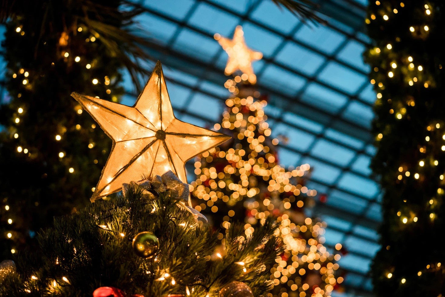 Christmas Tree Toppers