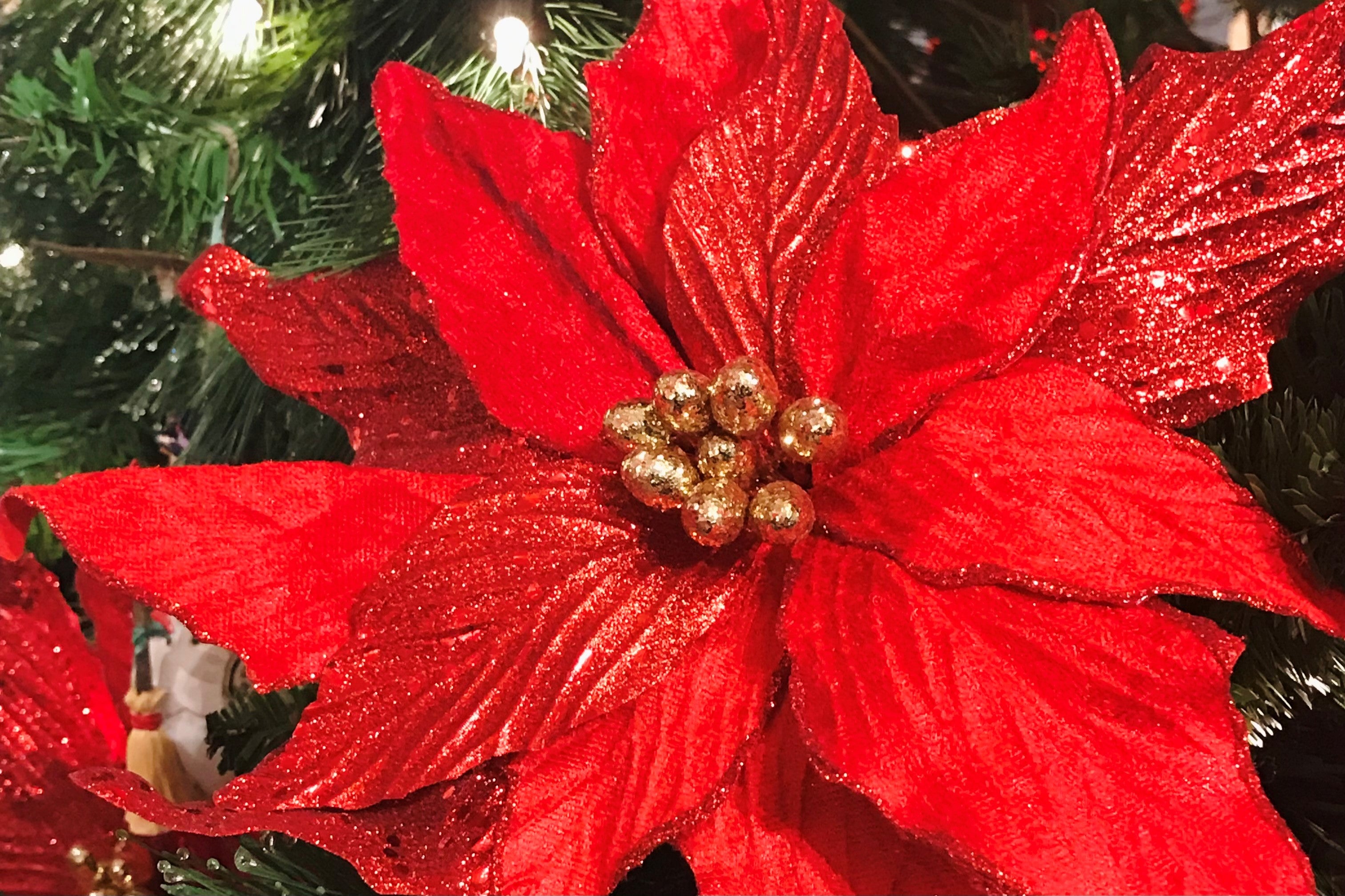 Artificial Red Poinsettia On Display On A Christmas Tree - Holiday Decor