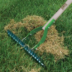 dethatching rake removing dead brown grass from healthy green grass