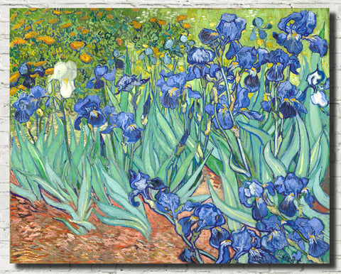 vincent-van-gogh-fine-art-print-irises