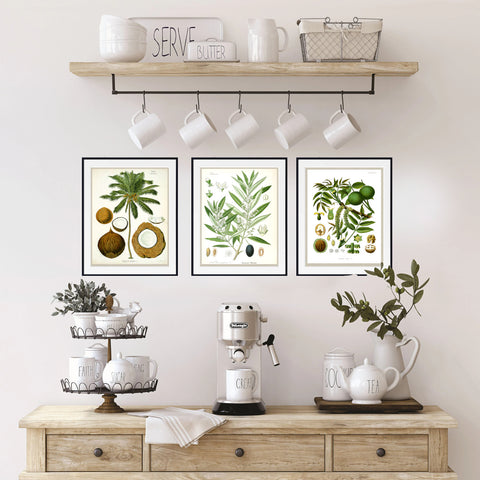 botanical wall art prints in a kitchen