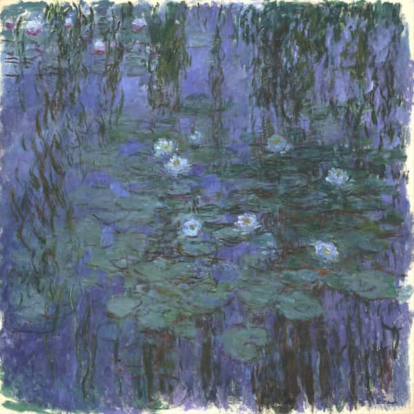 Blue Water Lilies