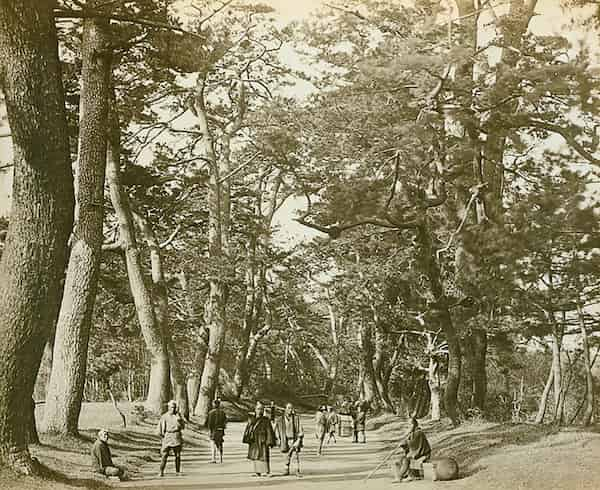 Photo of the Tōkaidō road (東海道, eastern sea route) by Felice Beato in 1865.