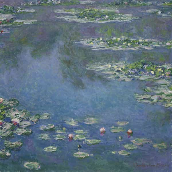 Water Lilies (1906)