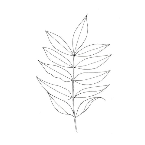 Lomond Paper Co . - 10 Different Ways to draw leaves