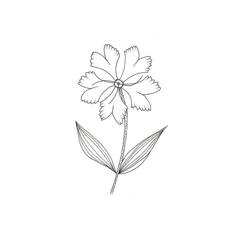 Discover more than 131 different flowers drawing best