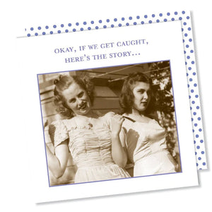 "Okay, If We Get Caught, Here's The Story" napkins - Pear and Simple