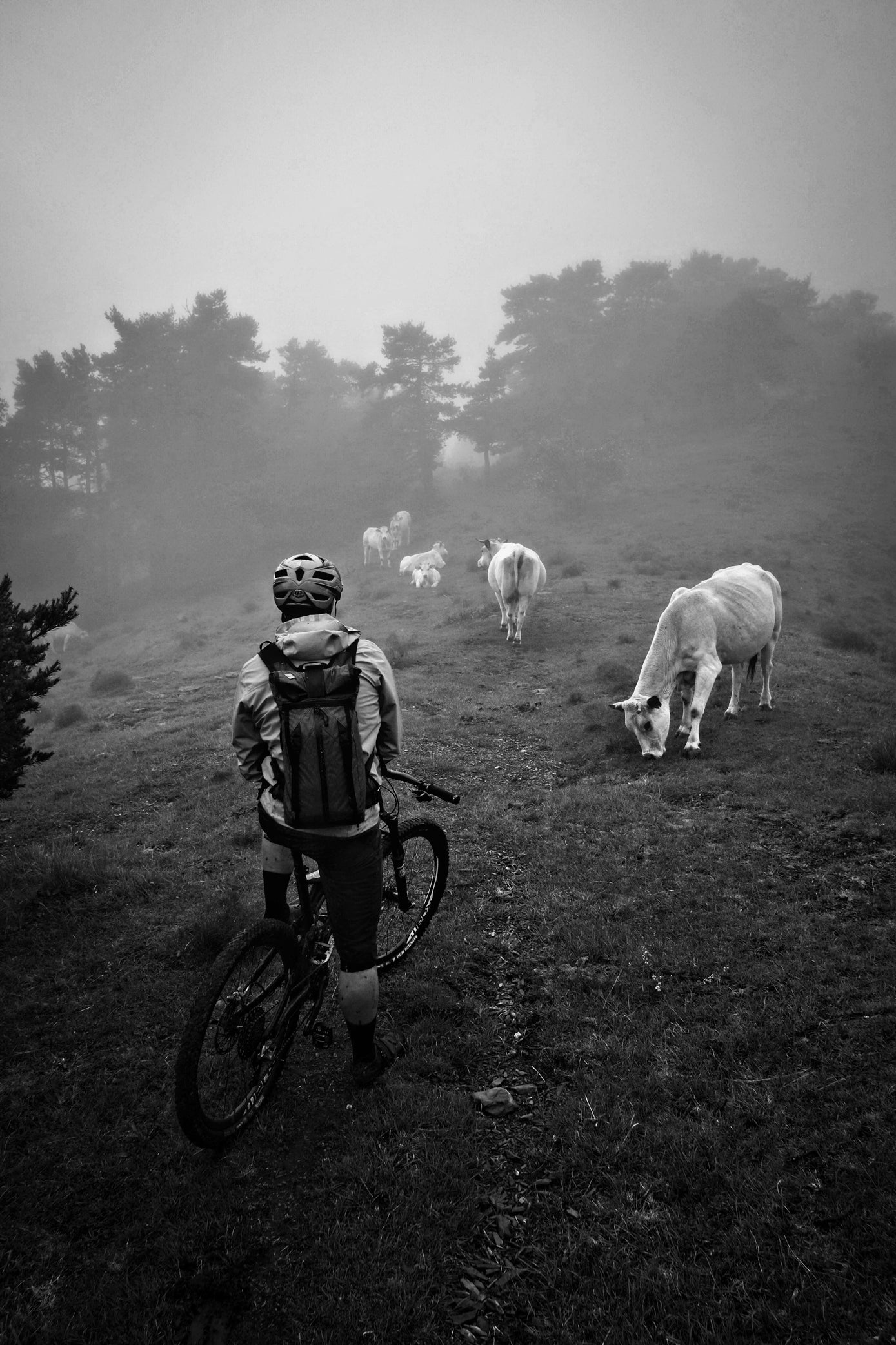 Mission Workshop Field Test : The Guide to Getting Lost - Summer 2014 - Mountain Bike Ride with SRAM, Golden Saddle Cyclery, Santa Cruz Bicycles, Sospel MTB, and John Prolly at The Radavist