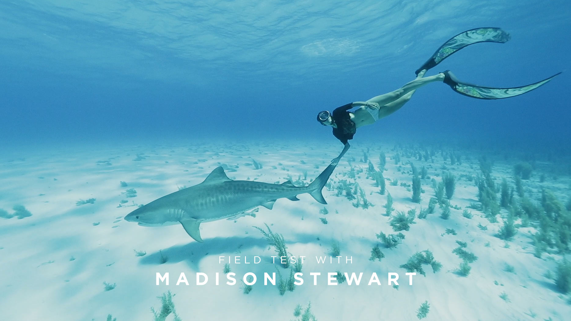 Essai sur le terrain avec Madison Stewart