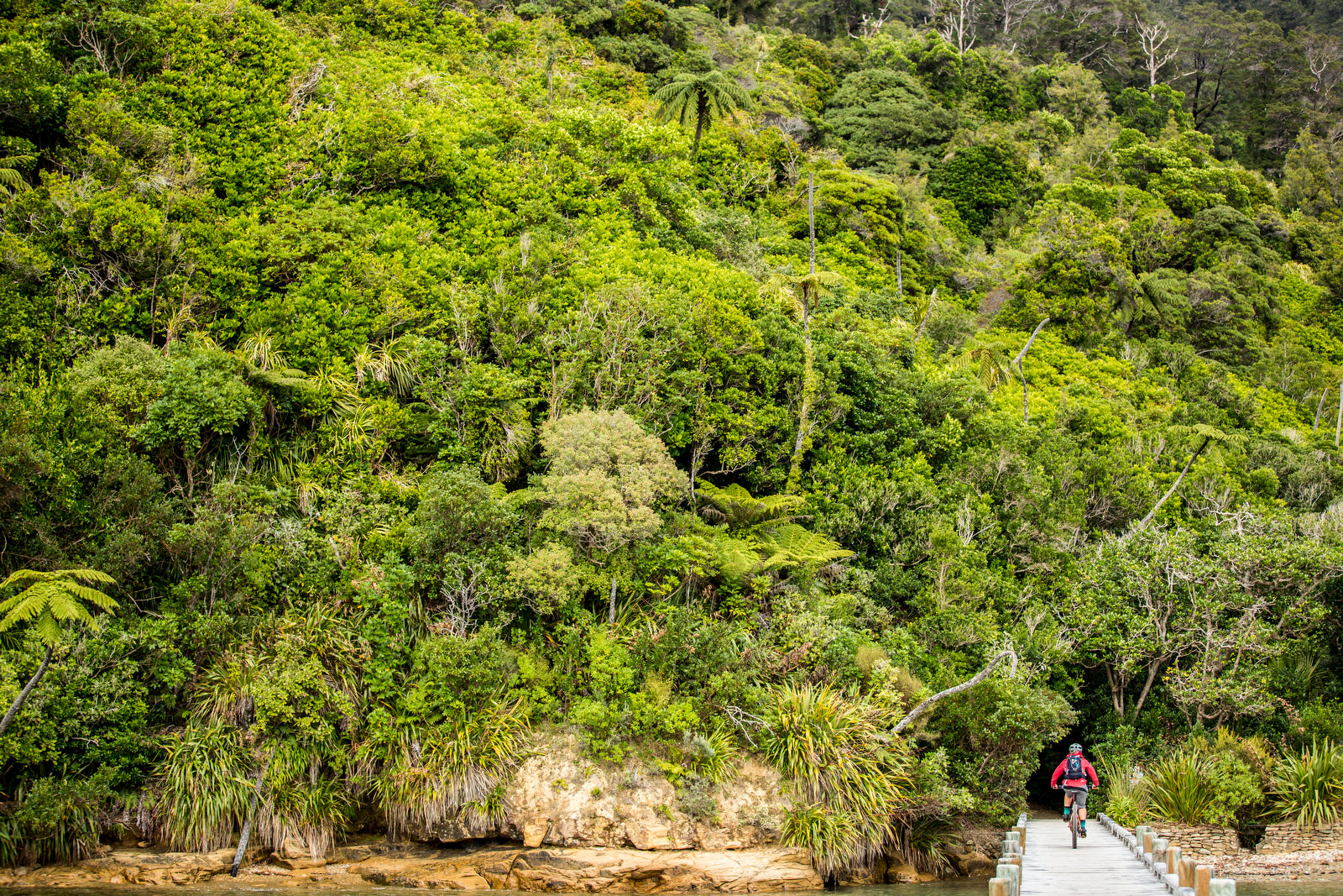 Field Test by Mission Workshop. Country: New Zealand. Featuring : Ride HouseMartin, Sven Martin, Anka Martin, The Radavist, John Watson, Santa Cruz Bicycles, Scott Turner, SRAM, Elayna Caldwell, Tyler Morland, Duncan Riffle, NZ Department of Conservation