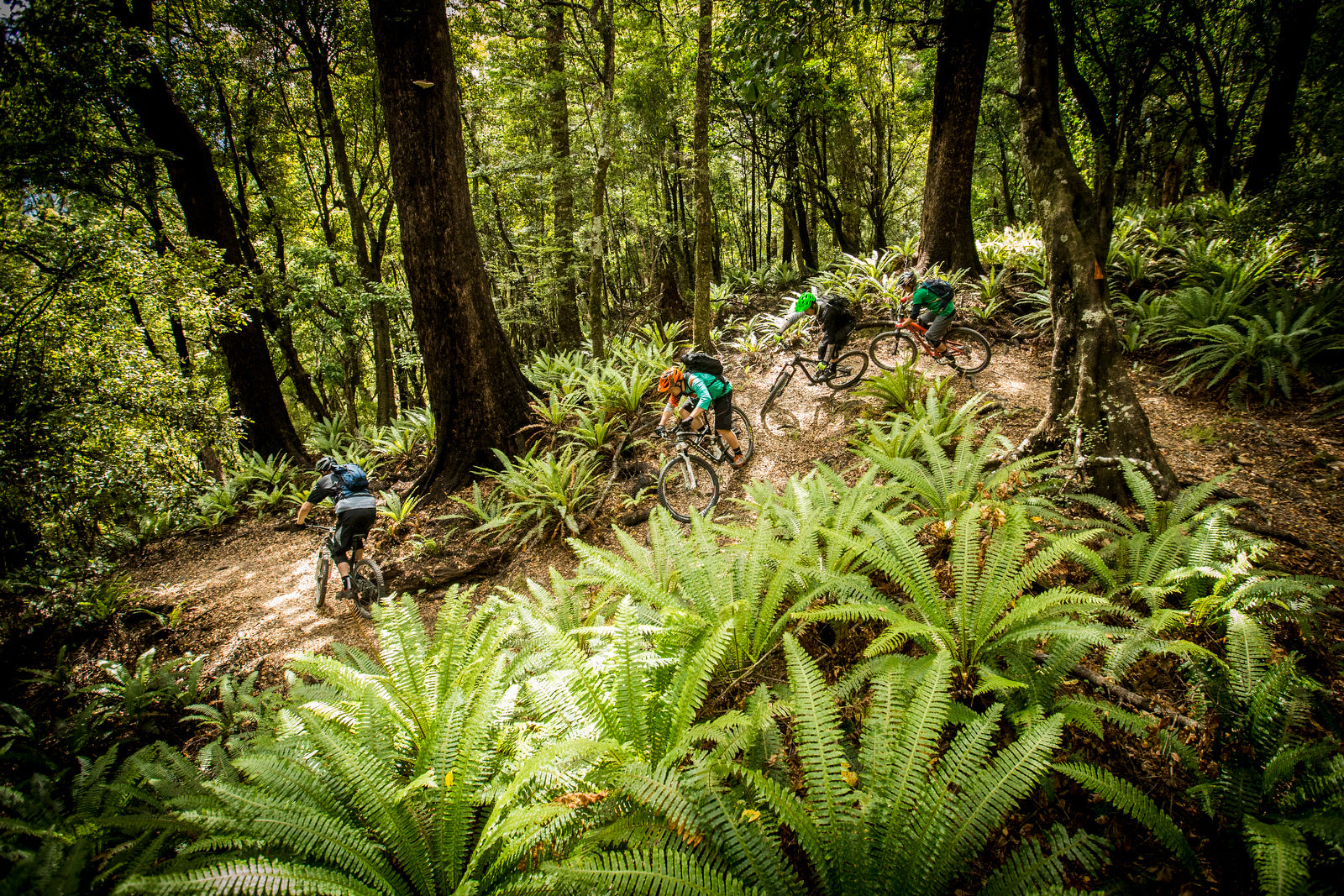 Field Test by Mission Workshop. Country: New Zealand. Featuring : Ride HouseMartin, Sven Martin, Anka Martin, The Radavist, John Watson, Santa Cruz Bicycles, Scott Turner, SRAM, Elayna Caldwell, Tyler Morland, Duncan Riffle, NZ Department of Conservation