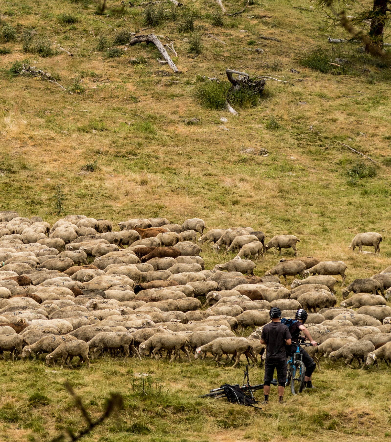 Nodes : Searching For Corridors of Flow - a field test by Mission Workshop. Fall 2015 Featuring Sven Martin, Anka Martin, Sam Needham, Ash Smith, Wes Siler, Brian Watt, Santa Cruz Bikes, SRAM