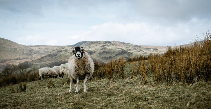 Mission Workshop Field Test : Riding Lake District. Spring 2014 - the English Lake District - Featuring Andy Waterman, Stif Cycles, Santa Cruz Bicycles, Sram.