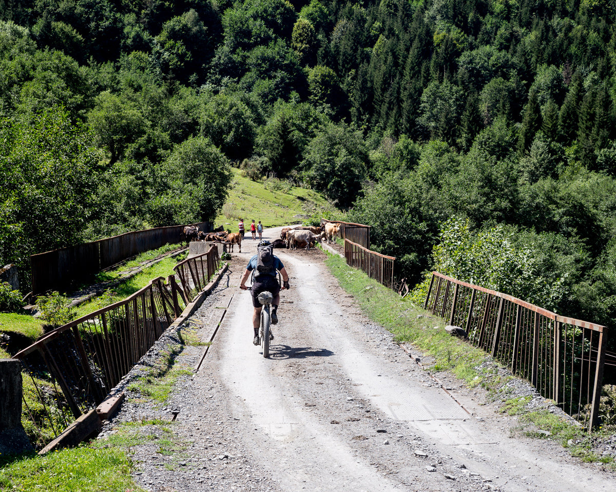 Mission Workshop Field Test : Not That Georgia with Kyle Von Hoetzendorff, Tamaz Tazer Tamak Tikanadze, Daniel Pasely, Brian Larson, specialized bike, and Yonder Journal