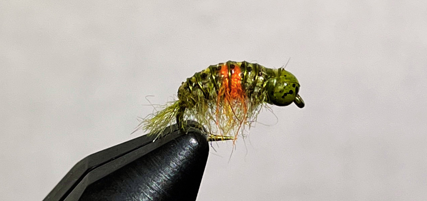 N204BL - Shrimp, Caddis, Scud, Thin Wire, Barbless Hook