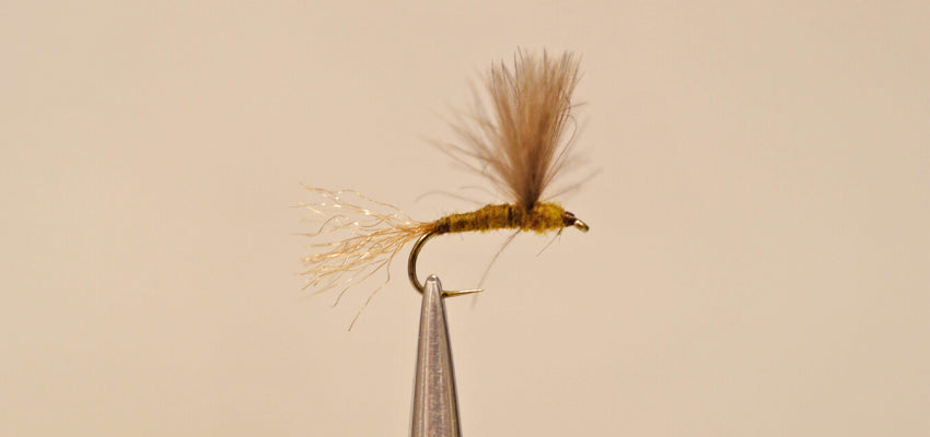 BWO Series Videos - Part III CDC Sparkle Dun — TCO Fly Shop