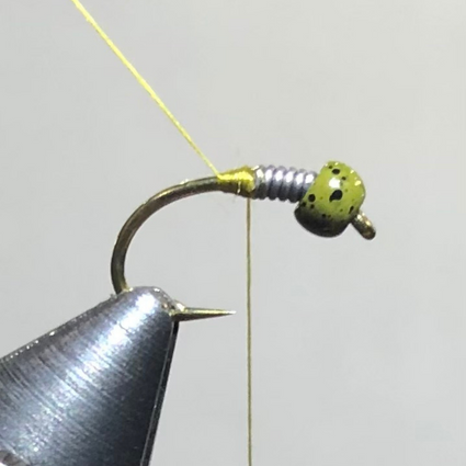 What's Jacob Tying - Olive Hot Spot Shrimp — TCO Fly Shop