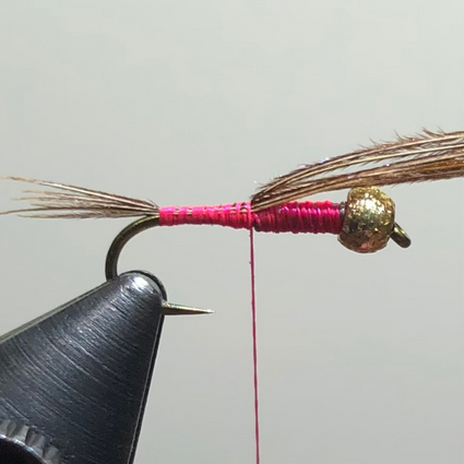 Pink Lively Legz Pheasant Tail Nymph — TCO Fly Shop