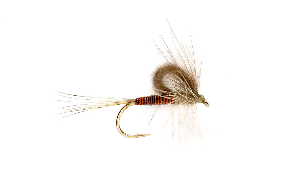 CdC Loopwing Quill Emerger Hendrickson – TCO Fly Shop