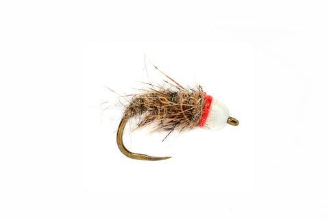 Region Fishing Tungsten Bead Hot Spot Pheasant Tail Jig Fly - Euro