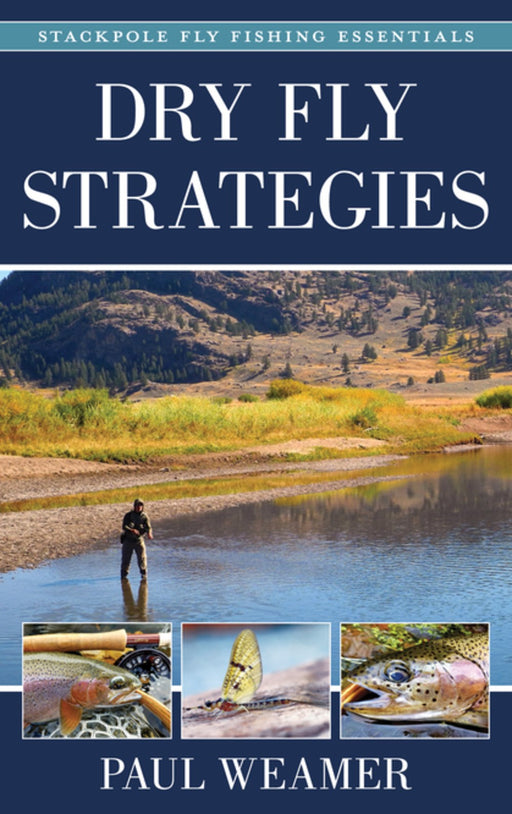 Small Streams and Daydreams: A Contrarian's View of Fly-fishing : Phillips,  Paul: : Books