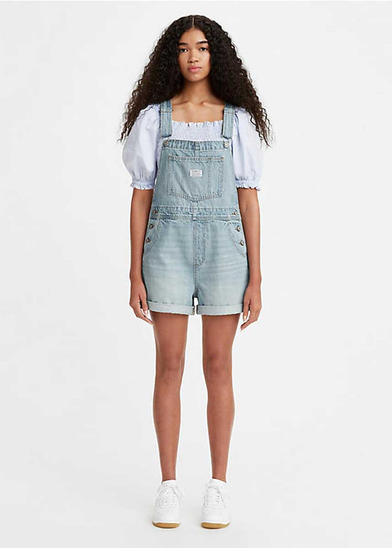 Actualizar 37+ imagen levi’s vintage overalls sunset skate