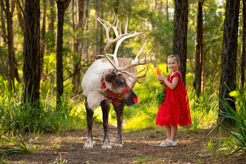 Christmas Dress