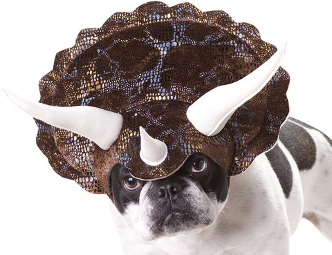 triceratops, dinosaur costume, dinosaur costume for dog, triceratops dog costume