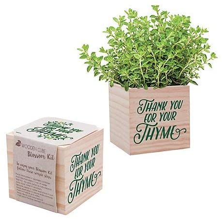 thyme, wooden cube planter, herbs, desk planter, thank you for your thyme