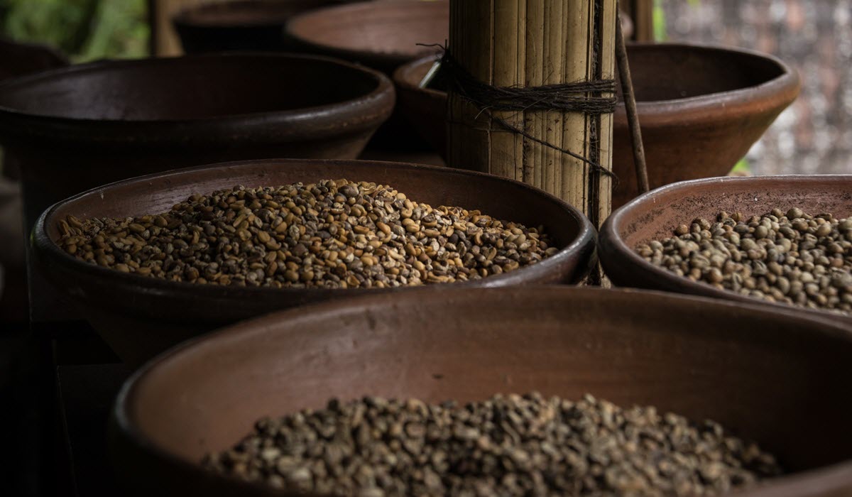 Coffee bean origins and their flavours