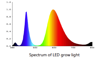 Master COB 600W - LED Horticulture Lighting System - Growth and