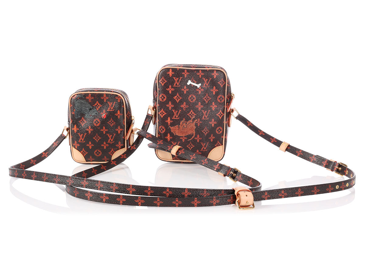 NEW Louis Vuitton Paname Set Catogram Bag sling, Luxury, Bags