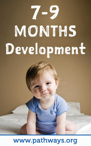 Learning & Development - Baby (0-12) – KneeBees