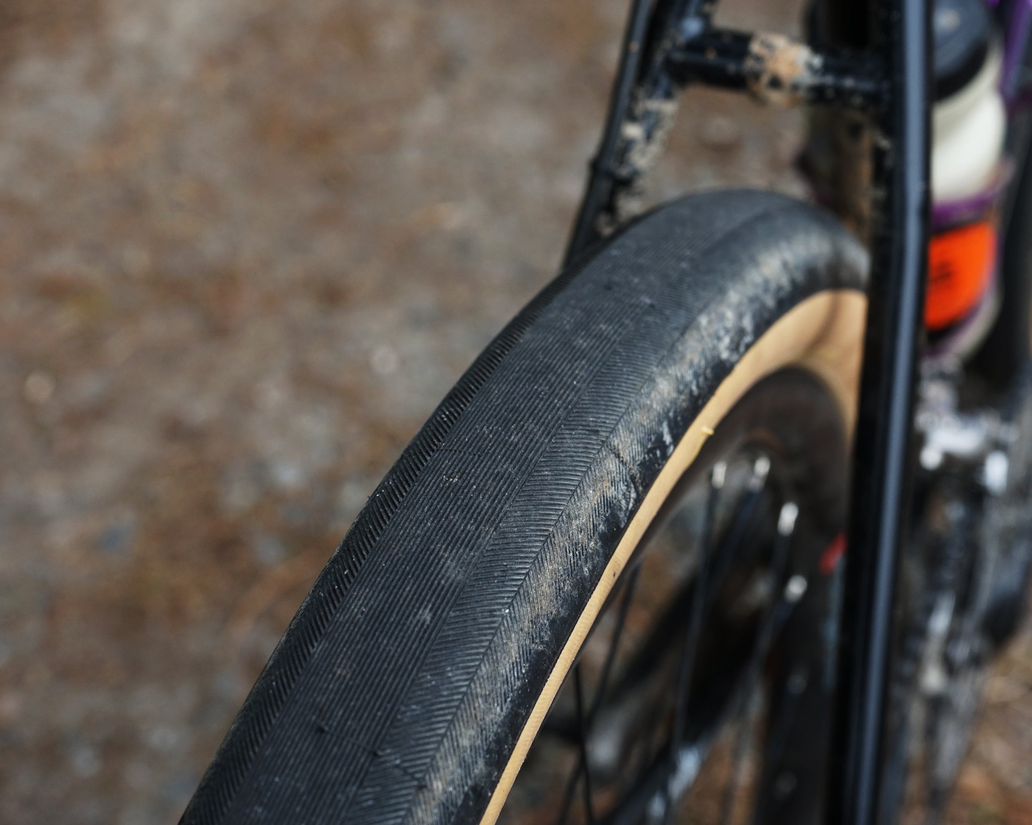 compass 650b tires