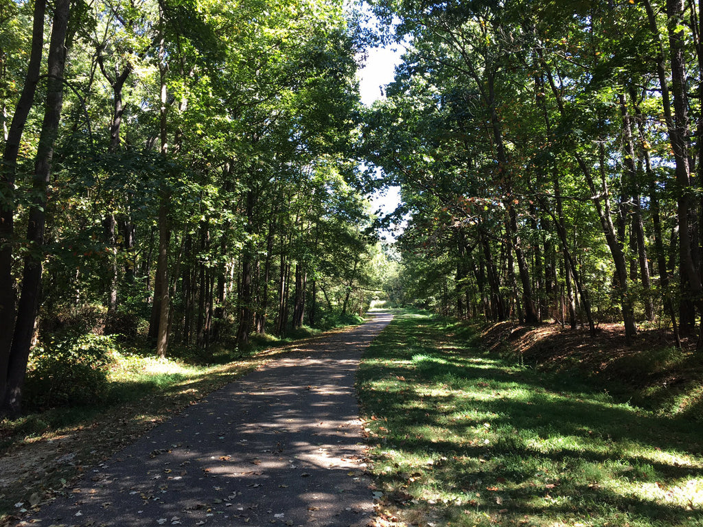 Drewry's Bluff, Richmond, VA, Outpost Adventure Club, Trail