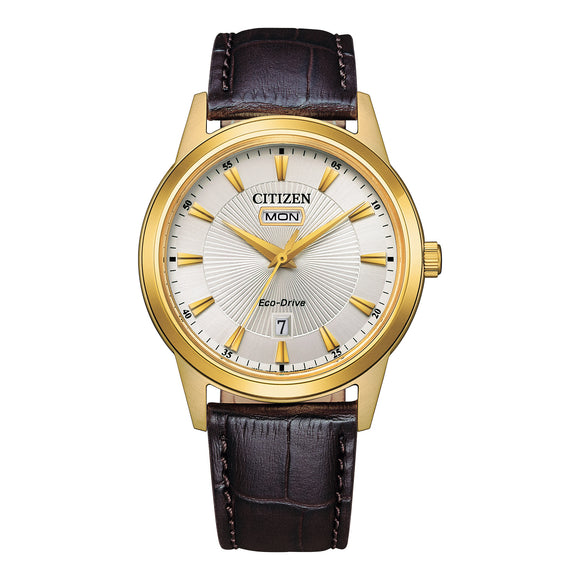 AW0102-13A Citizen Eco-Drive Leather Band Gents Watch – Greymouth Showcase  Jewellers