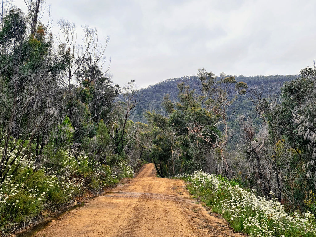 Gravel trails australia