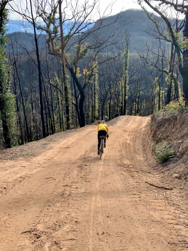 alison mcgregor riding sand