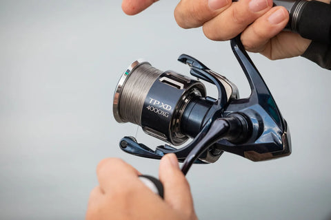 Buy Shimano Twin Power XD C 3000 HG Compact Saltwater Spinning