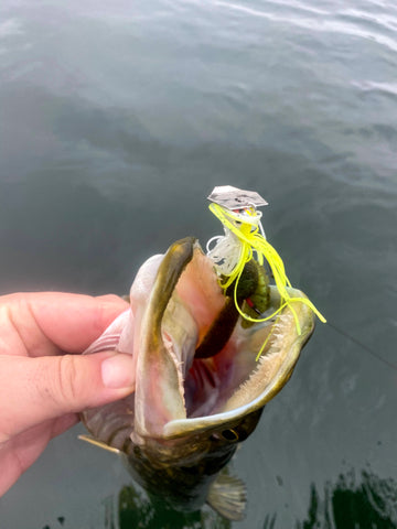 fisherman showing fish