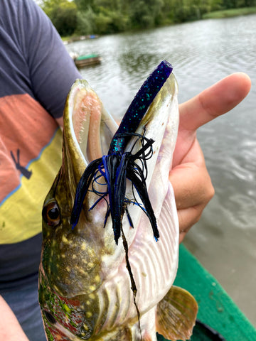 A lure in fish mouth