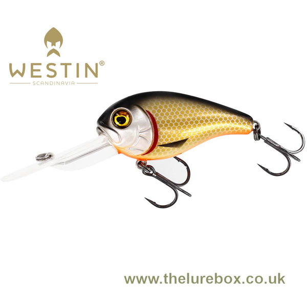 Westin BuzzBite 4cm, Fishing Lures Ltd