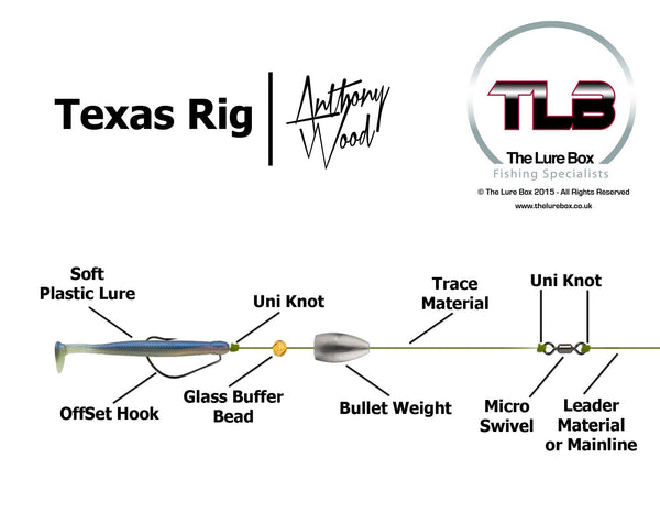 Texas Rig Diagram | Lure Fishing Technique | The Lure Box ... whiting fish diagram 