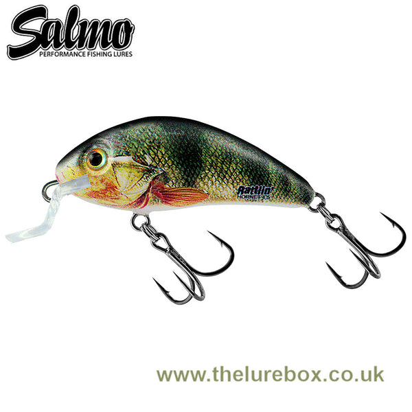 SALMO RATTLIN HORNET FLOATING 4.5CM GOLD FLUO PERCH – All Out Angling