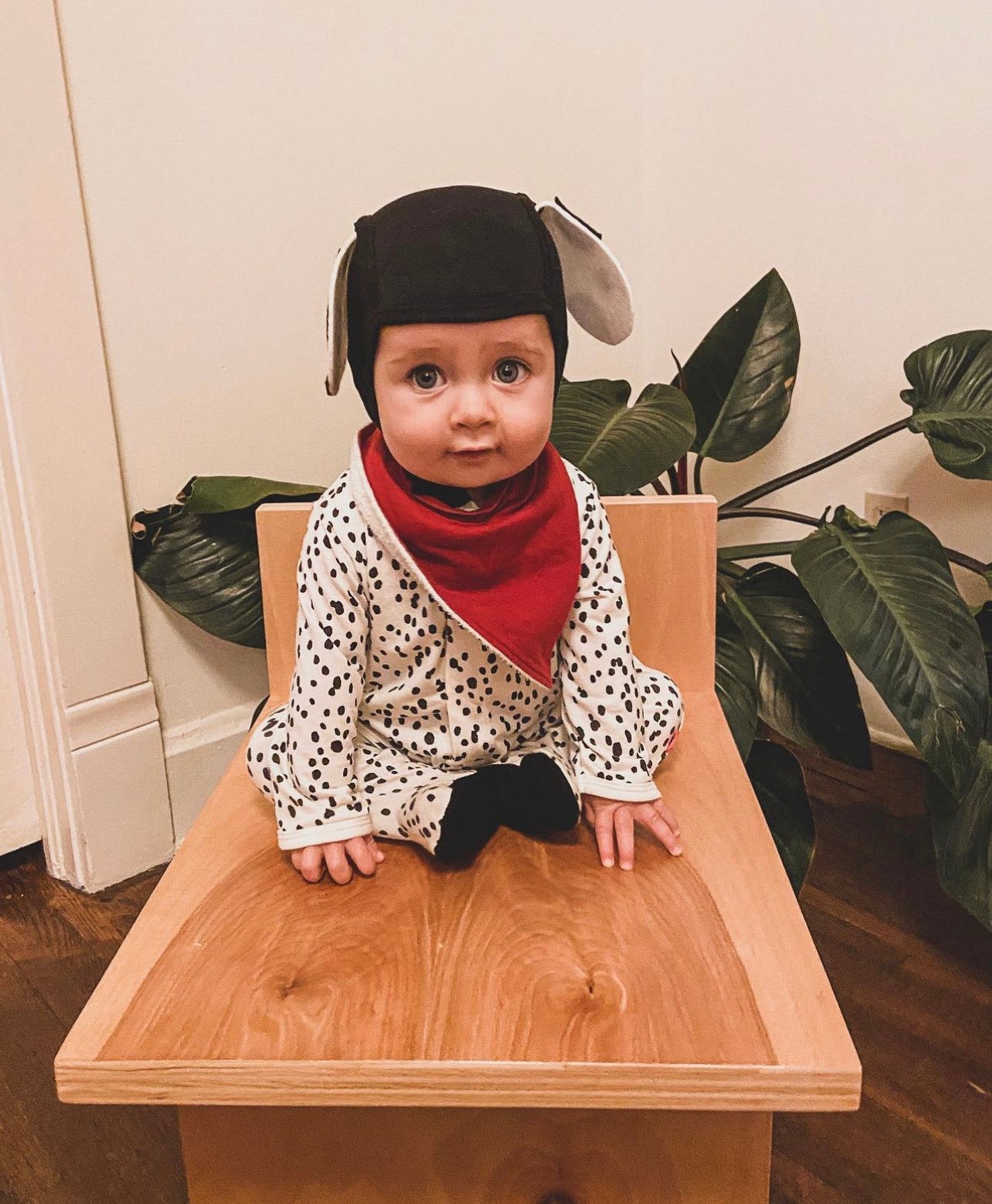 Dalmation Baby Costume