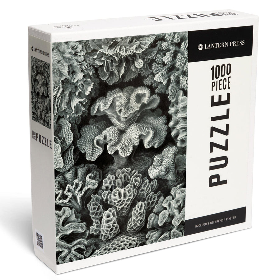 Puzzle en Bois - Ernst Haeckel - Planche Botanique Puzzle-Michele