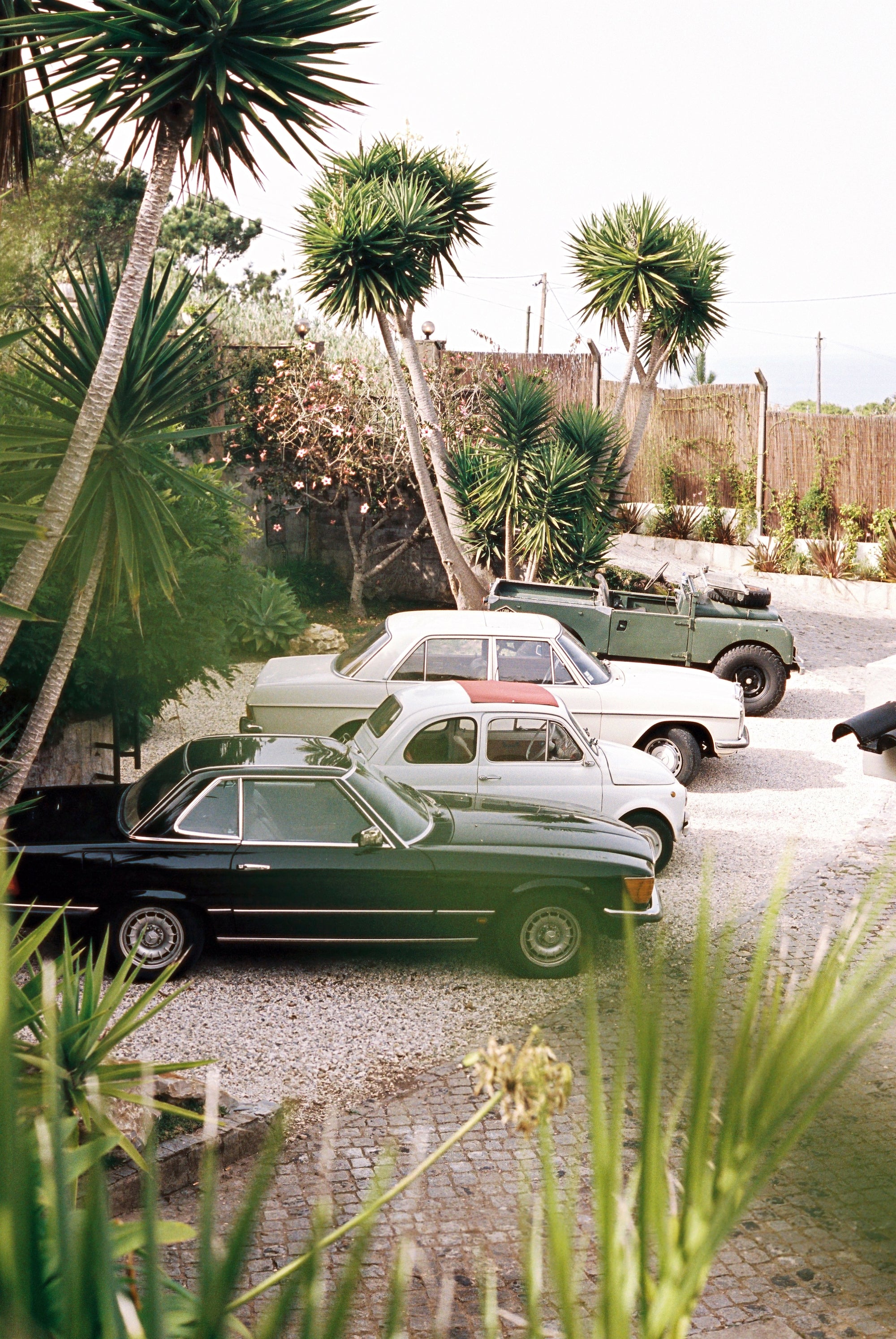 A photo showing 4 vintage cars parked outside the Marqí Hotel